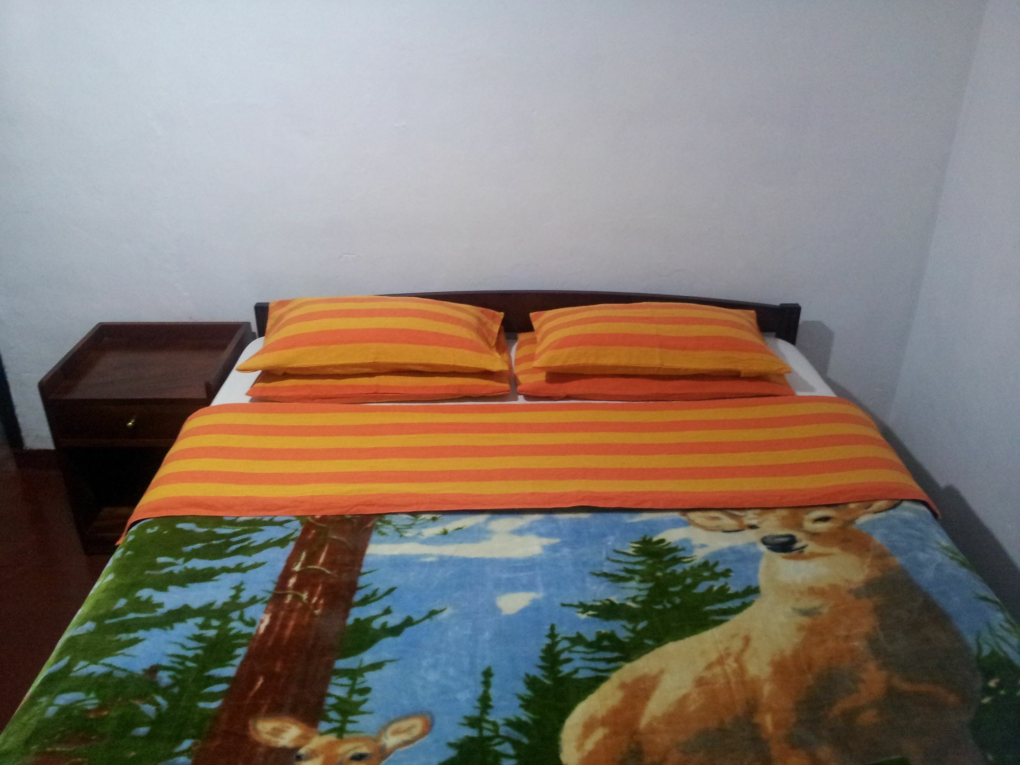 Andrews Hostel 누와라 엘리야 외부 사진